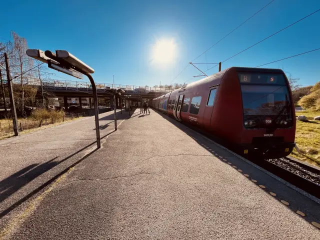 Billede af tog ud for Skovbrynet S-togstrinbræt.
