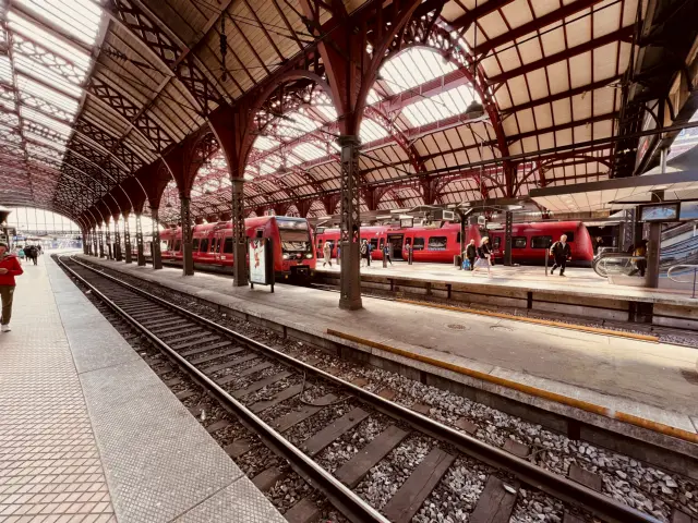 Billede af tog ud for København Hovedbanegård.