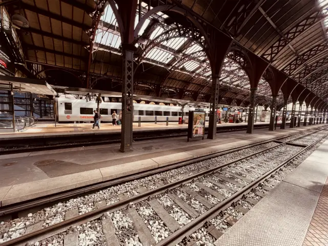 Billede af tog ud for København Hovedbanegård.