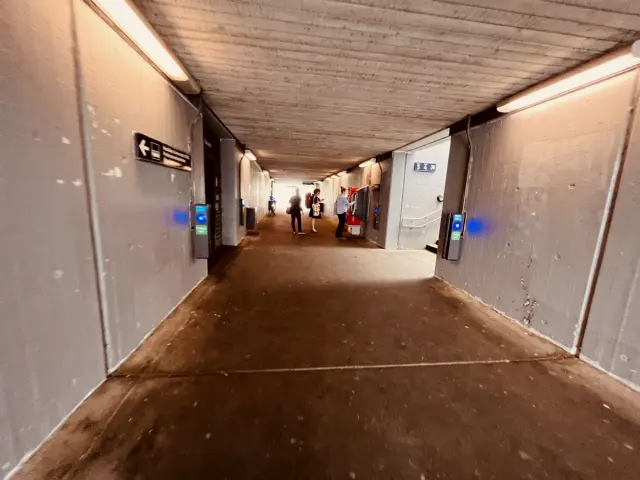 Billede af Trekroner Station.