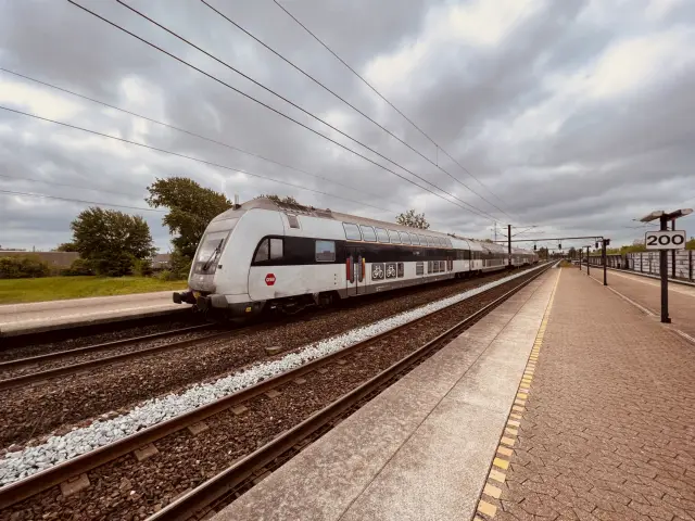 Billede af tog ud for Trekroner Station.