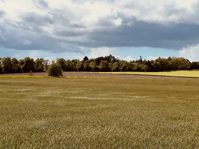 Billede af Dystrup Trinbræt - Trinbræt er nedrevet, men Dystrup Trinbræt har ligget her.