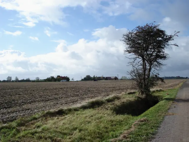 Billede af Tjørnevang Trinbræt - Trinbræt er nedrevet, men Tjørnevang Trinbræt har ligget her.