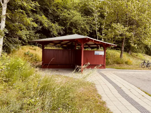 Billede af Duemose Station.