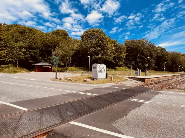 Billede af Duemose Station.