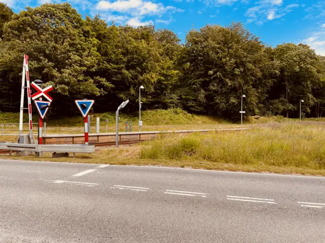 Billede af Duemose Station.