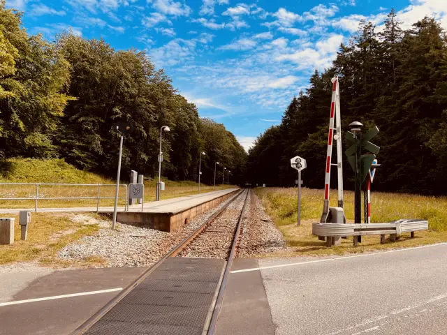 Billede af Duemose Station.