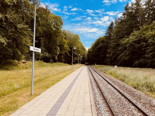 Billede af Duemose Station.