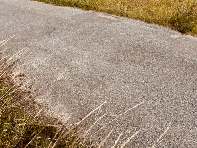 Billede af sporrester i asfalten ved det nedlagte Egholm Trinbræt.