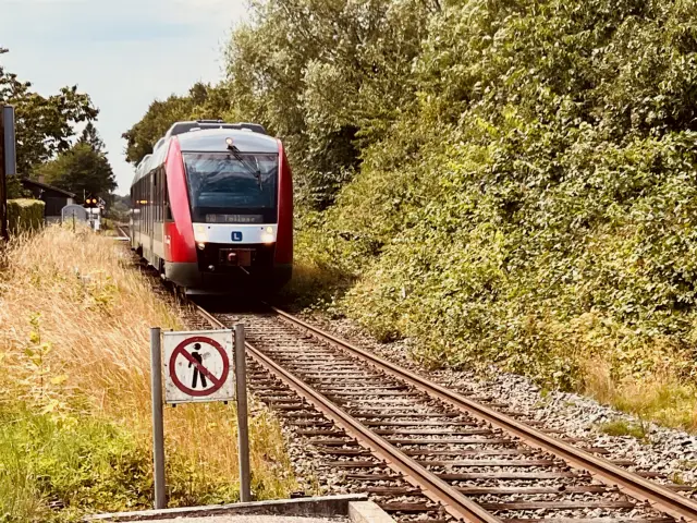 Billede af tog ud for Vedde Station.