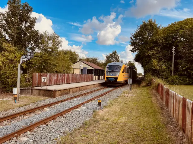 Billede af tog ud for Avnede Station.