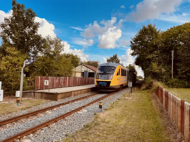 Billede af tog ud for Avnede Station.