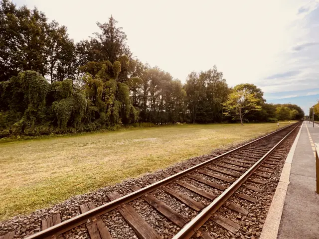 Billede af Ryde Station - Station er nedrevet, men Ryde Station har ligget her.