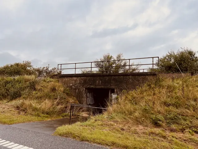 Billede af Bremdal Trinbræt - Trinbræt er nedrevet, men Bremdal Trinbræt har ligget her.