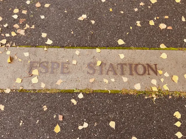 Billede af Espe Stations sporareal.