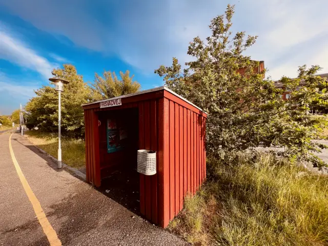 Billede af Frisvadvej Station (perron vest for Frisvadvej).
