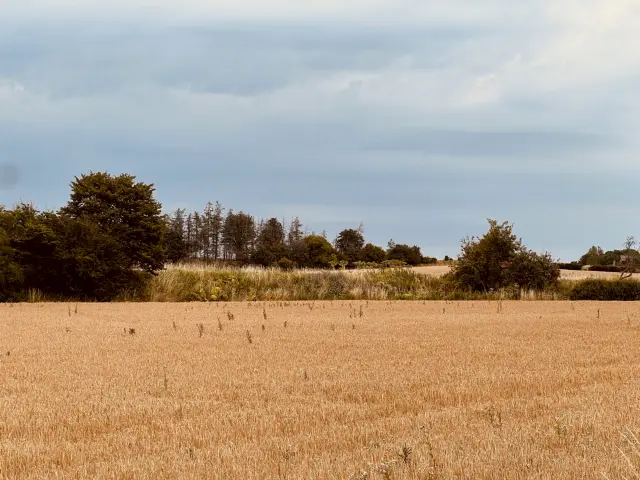 Billede af Enghave (Hørve-Værslev) Trinbræt - Trinbræt er nedrevet, men Enghave Trinbræt har ligget her.