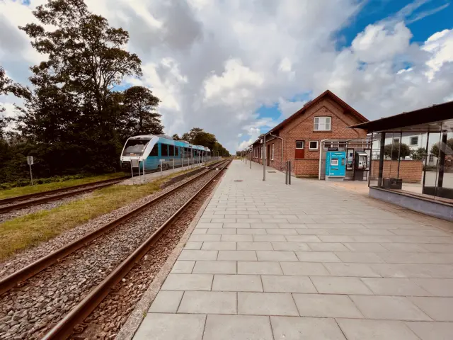 Billede af tog ud for Borris Station.