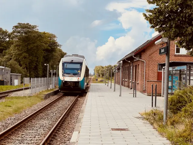 Billede af tog ud for Borris Station.