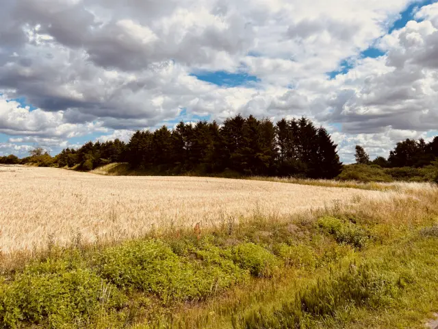 Billede af Rye Trinbræt - Trinbræt er nedrevet, men Rye Trinbræt har ligget her.