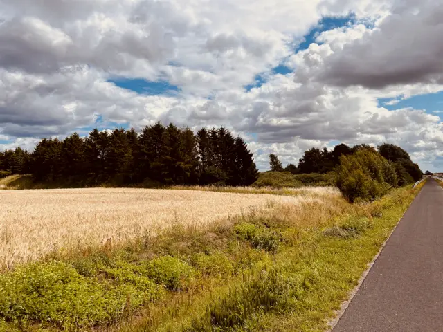 Billede af Rye Trinbræt - Trinbræt er nedrevet, men Rye Trinbræt har ligget her.