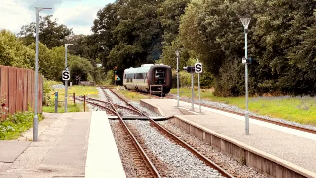 Billede af tog ud for Dianalund Station.