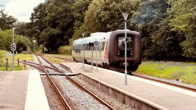 Billede af tog ud for Dianalund Station.