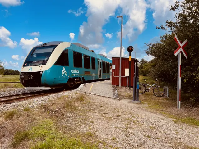 Billede af tog ud for Jegum Station.