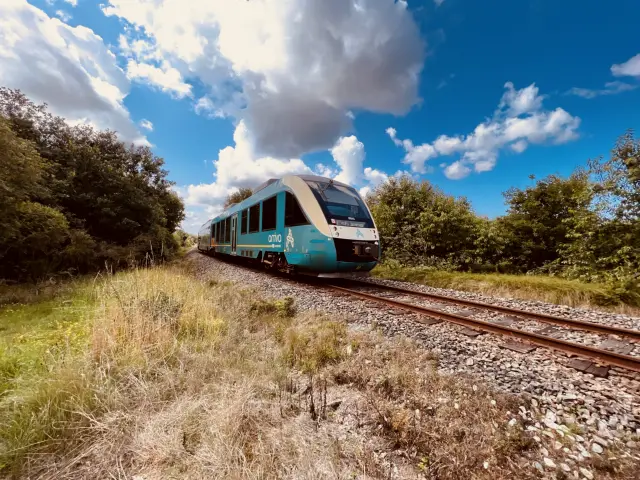 Billede af tog ud for Jegum Station.