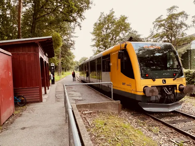 Billede af tog ud for Ravnholm Station.