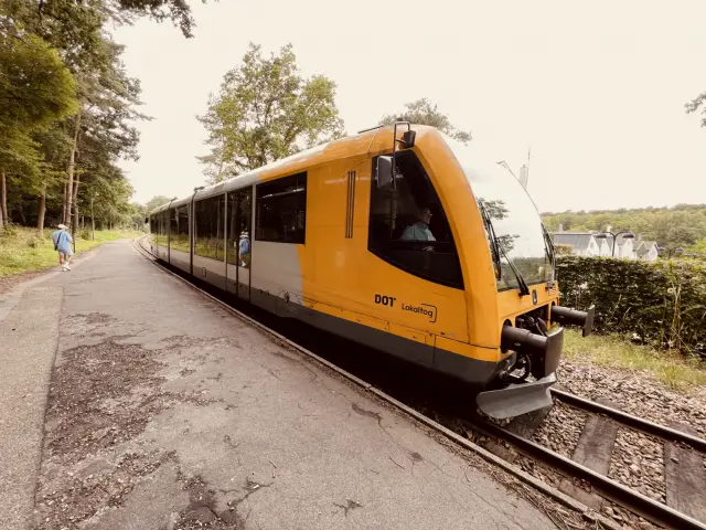 Billede af tog ud for Lyngby Lokalstation.