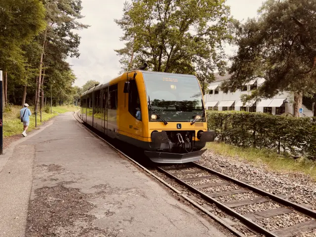 Billede af tog ud for Lyngby Lokalstation.