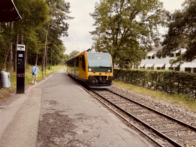 Billede af tog ud for Lyngby Lokalstation.