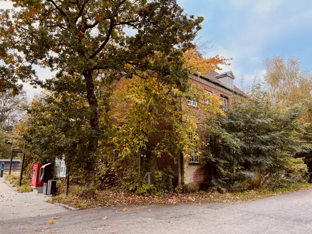 Billede af Skalbjerg Station - snart opslugt af begroning.