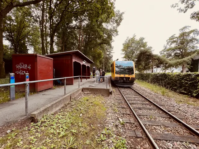 Billede af LNJ Lm 25 ud for Ravnholm Holdeplads.