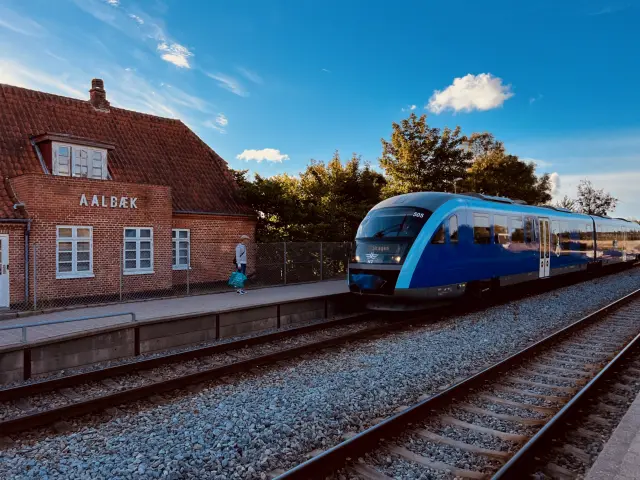 Billede af NJJ DM 505 fotograferet ud for Ålbæk Station.