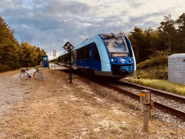 Billede af NJJ LM 613 fotograferet ud for Bunken Station.