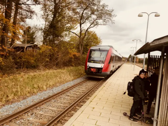 Billede af LT 2039-2139, tidligere RTOG 2039-2139 fotograferet ud for Egøje Station.