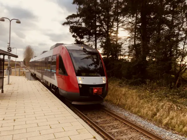 Billede af LT 2039-2139, tidligere RTOG 2039-2139 fotograferet ud for Egøje Station.