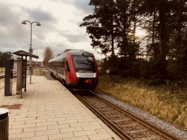 Billede af LT 2039-2139, tidligere RTOG 2039-2139 fotograferet ud for Egøje Station.