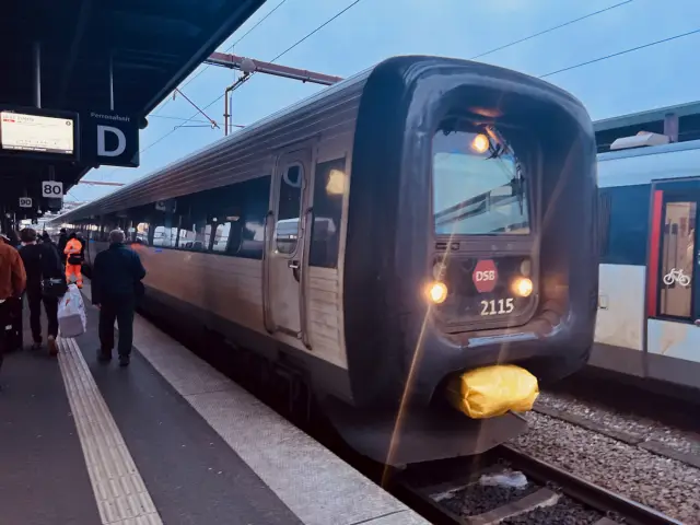 Billede af DSB ER 2015 fotograferet ud for Odense Banegård Center.