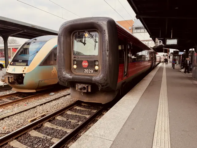 Billede af DSB ER 2029 fotograferet ud for Odense Banegård Center.