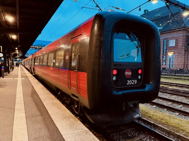 Billede af DSB ER 2029 fotograferet ud for Odense Banegård Center.