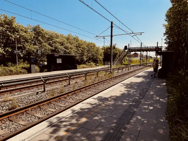 Billede af Torsøvej Station.