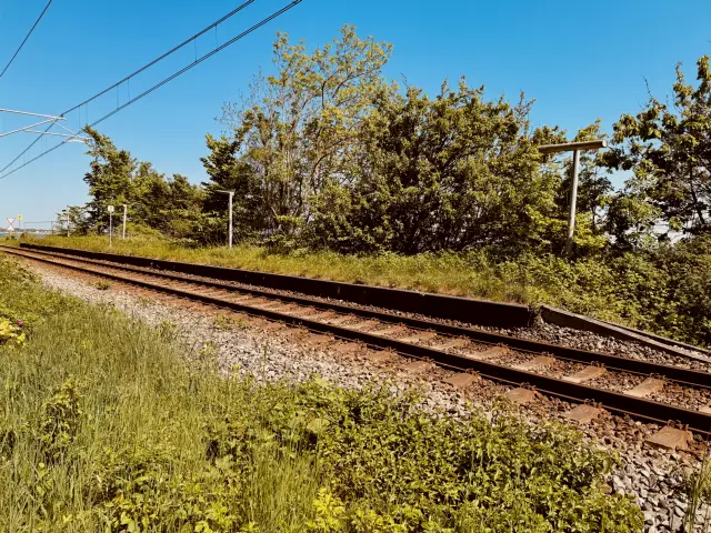 Billede af Salonen Trinbræt.
