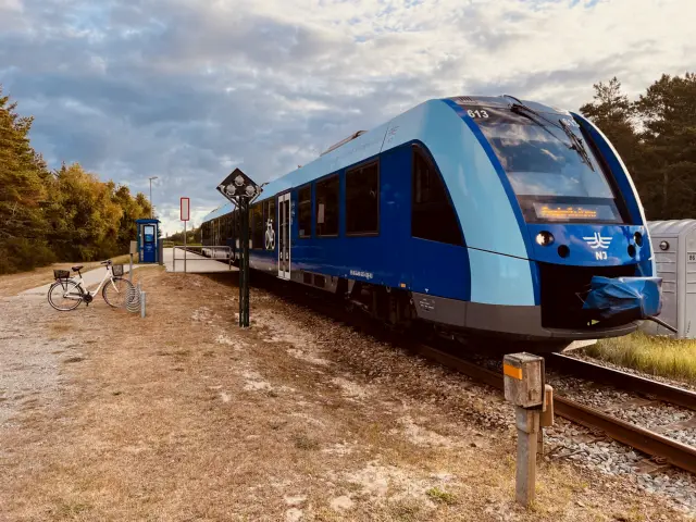 Billede af NJJ LM 613 fotograferet ud for Bunken Station.