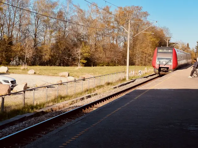 Billede af DSB SA 8114 fotograferet ud for Skovbrynet S-togstrinbræt.