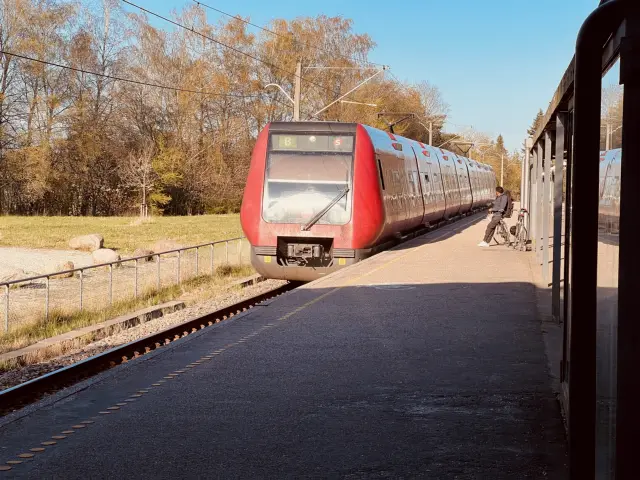Billede af DSB SA 8114 fotograferet ud for Skovbrynet S-togstrinbræt.