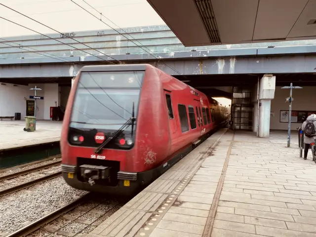 Billede af DSB SA 8119 fotograferet ud for Danshøj S-togsstation.