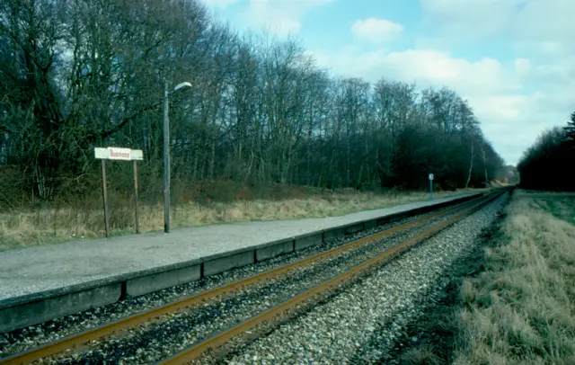 Billede af Duemose Station.